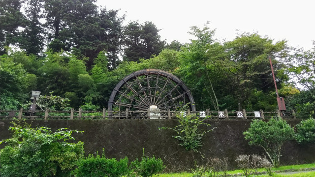 【今市】杉並木公園